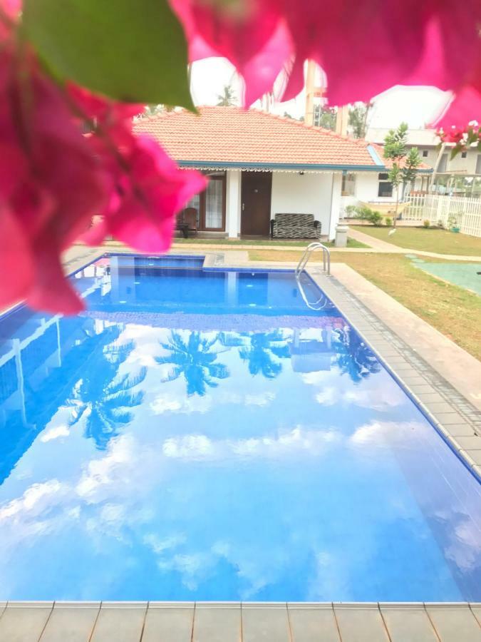 White Rose Beach Resort Marawila Dış mekan fotoğraf